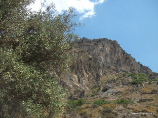 stoleone-17-08-2014 12-28-13